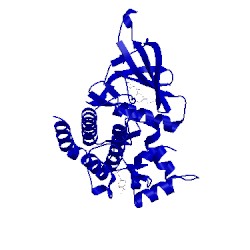 Image of CATH 3lxn