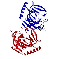 Image of CATH 3mhj