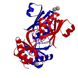 Image of CATH 3mpv