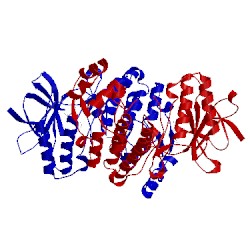 Image of CATH 3mvm