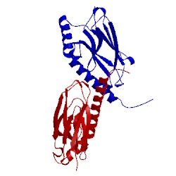 Image of CATH 3n8e