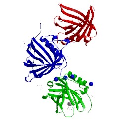 Image of CATH 3pec