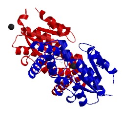 Image of CATH 3qyp