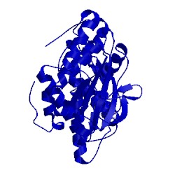 Image of CATH 3rtp