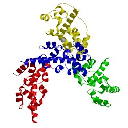 Image of CATH 3sen