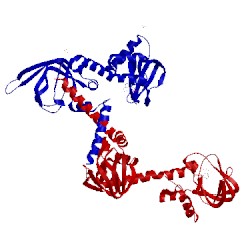 Image of CATH 3shr