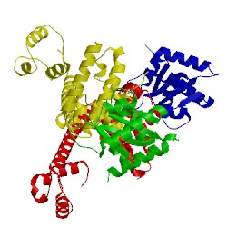 Image of CATH 3siu