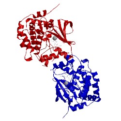 Image of CATH 3sls