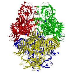 Image of CATH 3t2p