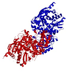 Image of CATH 3to3