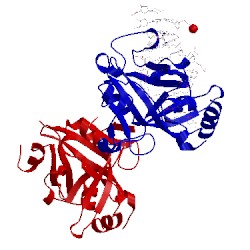 Image of CATH 3uby