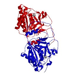 Image of CATH 3v0o