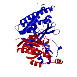 Image of CATH 3vhl