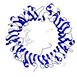 Image of CATH 3wpd