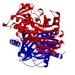 Image of CATH 3zno