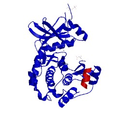 Image of CATH 4axa