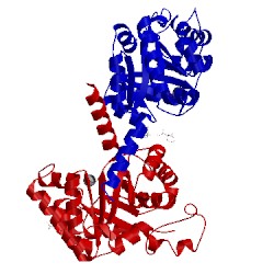 Image of CATH 4b5t