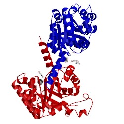 Image of CATH 4b5u