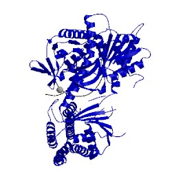 Image of CATH 4bpb