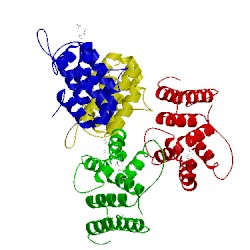 Image of CATH 4bsx