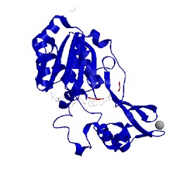 Image of CATH 4bvf
