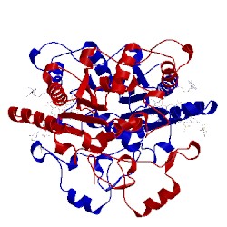 Image of CATH 4cf6