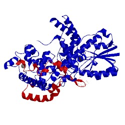 Image of CATH 4ct0