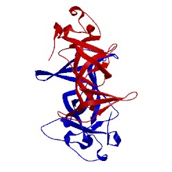 Image of CATH 4dow