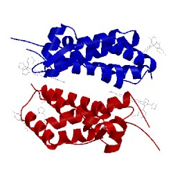 Image of CATH 4e92