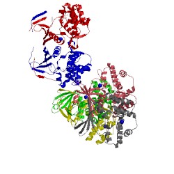 Image of CATH 4fev