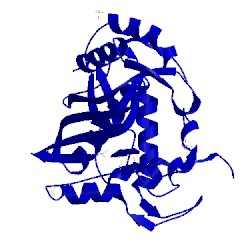 Image of CATH 4fgt