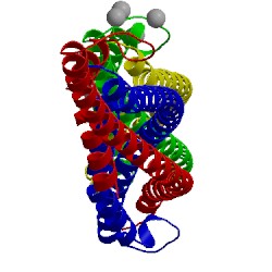 Image of CATH 4fla