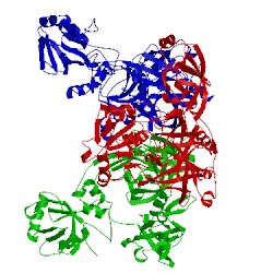 Image of CATH 4fln