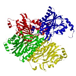 Image of CATH 4h5u