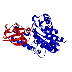 Image of CATH 4hcn