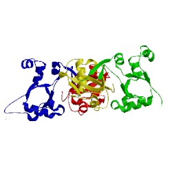 Image of CATH 4hpm