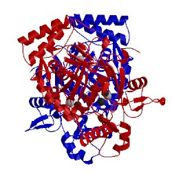 Image of CATH 4ims