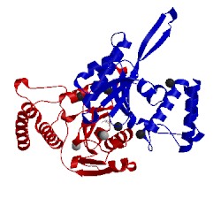 Image of CATH 4jk8