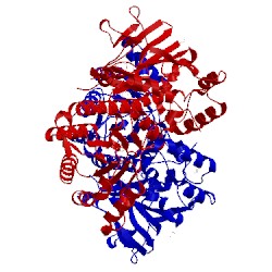 Image of CATH 4kfn