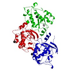 Image of CATH 4kn2