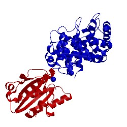 Image of CATH 4m76