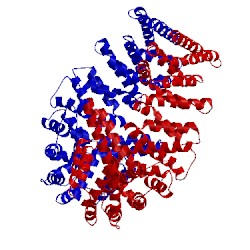 Image of CATH 4mfv