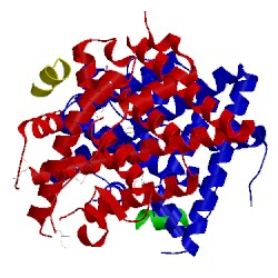 Image of CATH 4mg9