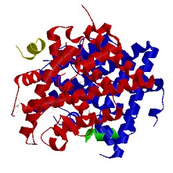 Image of CATH 4mgd