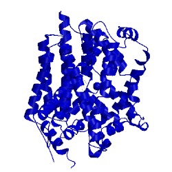 Image of CATH 4mma