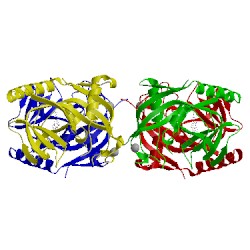 Image of CATH 4msk