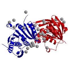 Image of CATH 4mtl