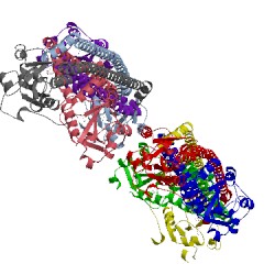 Image of CATH 4mvd