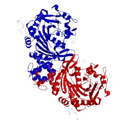 Image of CATH 4mws