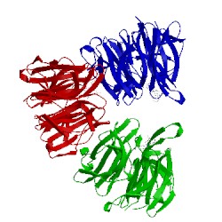 Image of CATH 4n1b